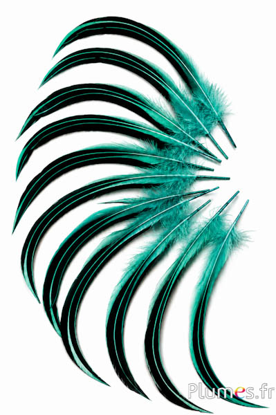 Eend Mandarin - 15-20 cm - jade